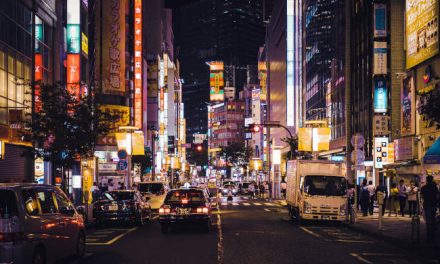 IL MODELLO ANTI-AUTO DI TOKYO
