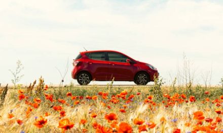 PARCHEGGIO SU TERRENO AGRICOLO: QUANDO É POSSIBILE