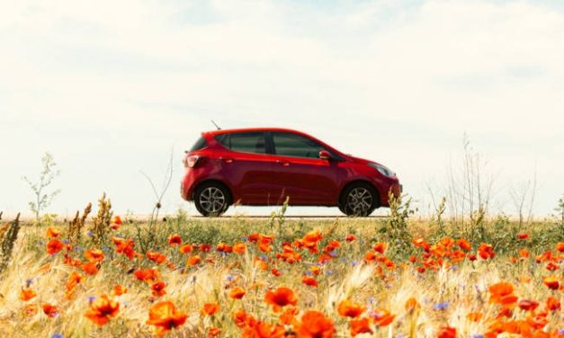 PARCHEGGIO SU TERRENO AGRICOLO: QUANDO É POSSIBILE