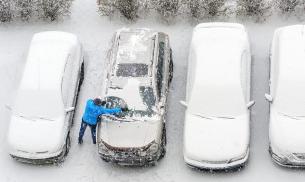 RICONOSCIMENTO TARGHE NELLA NEVE