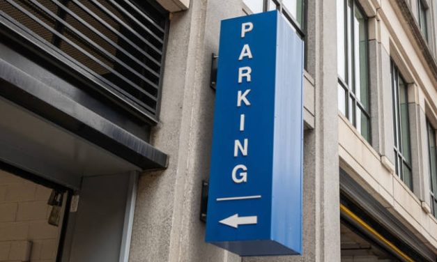 NAPOLI, STRISCE BLU OCCUPATE PER FARE CASSA